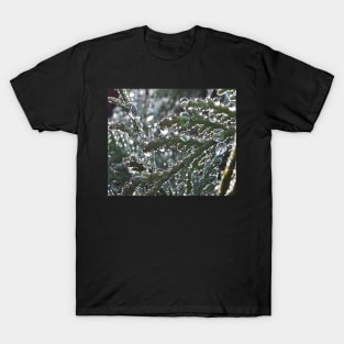 Dew drops T-Shirt